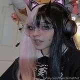 TheInternetPet