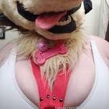 SpenceAfterBark