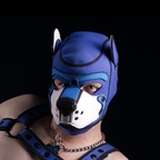 pupwilde