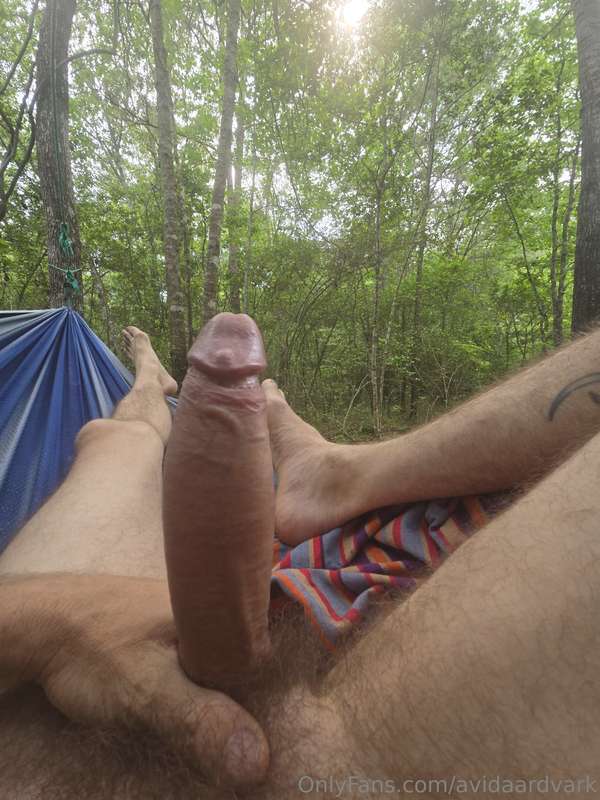 avidaardvark - Spent some time in the hammock yesterday while the clouds bl..