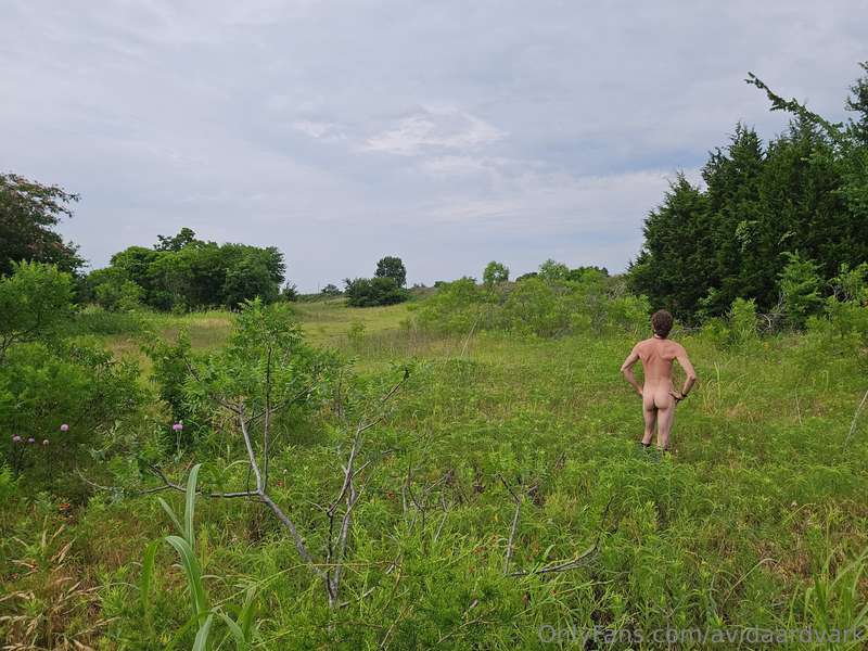 avidaardvark - This is one of my favorite fields. At times it is full of wi..