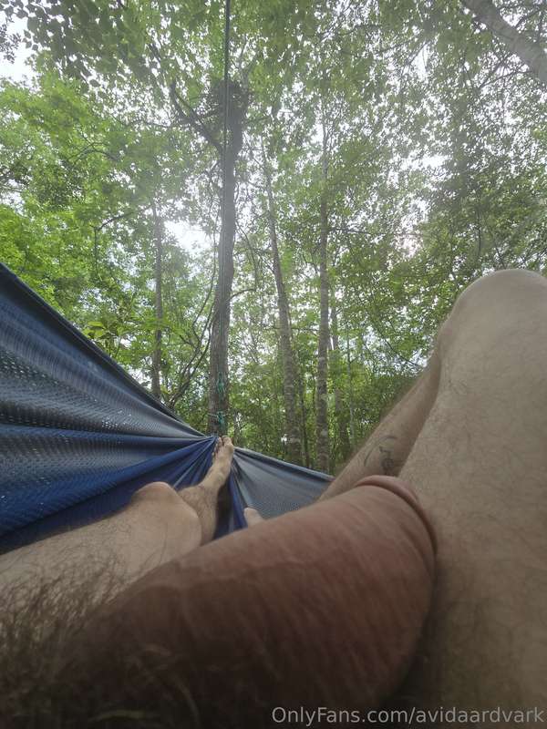 avidaardvark - Spent some time in the hammock yesterday while the clouds bl..