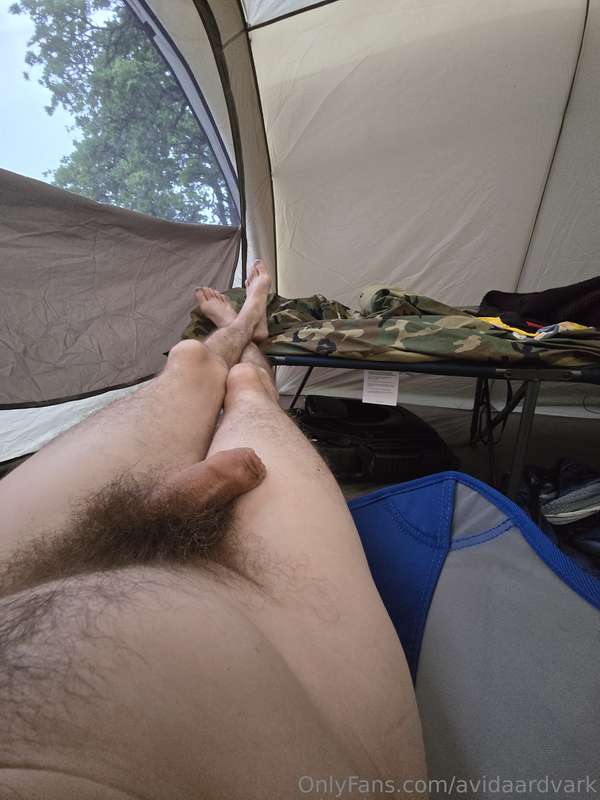 avidaardvark - Pictures from a beautiful morning, then the last pic was onl..