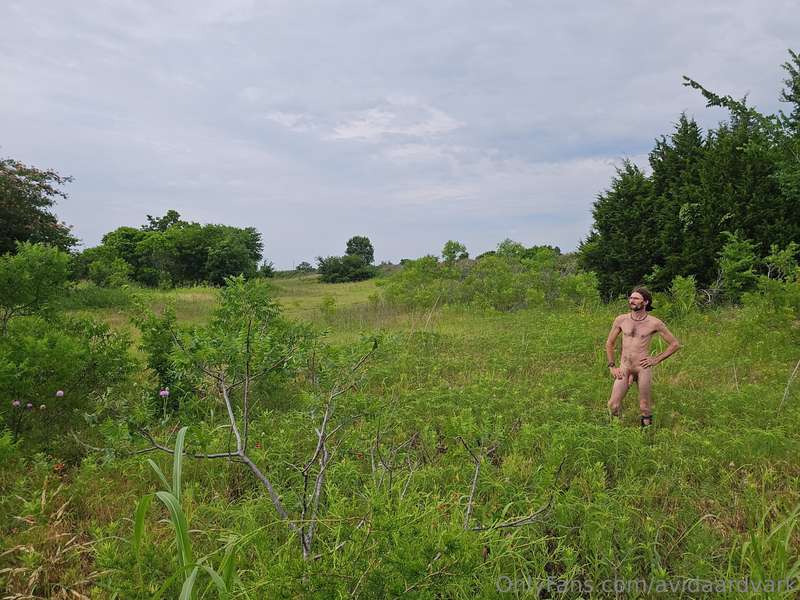 avidaardvark - This is one of my favorite fields. At times it is full of wi..