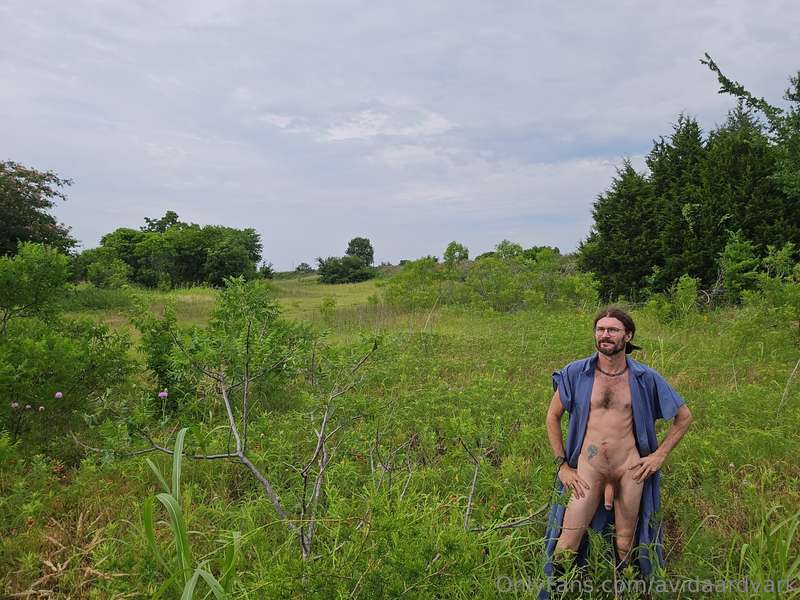 avidaardvark - This is one of my favorite fields. At times it is full of wi..