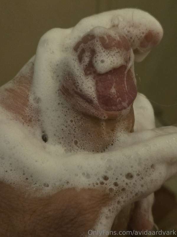 avidaardvark - Who doesn't love a good sudsing up in the shower? 