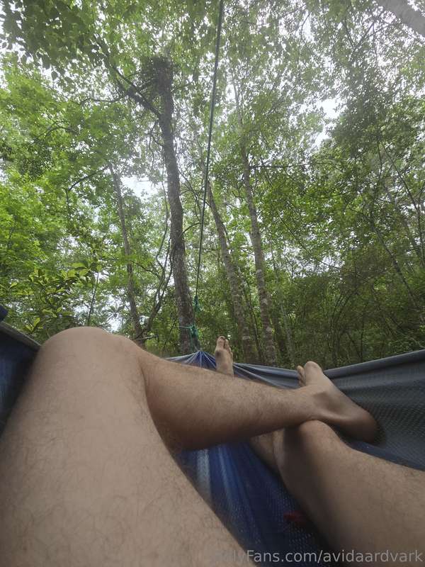 avidaardvark - Spent some time in the hammock yesterday while the clouds bl..