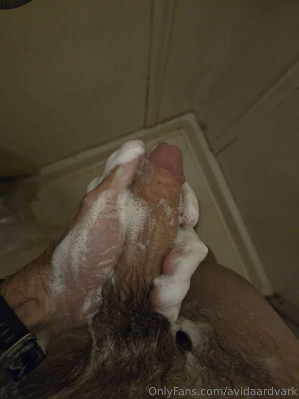 avidaardvark - Who doesn't love a good sudsing up in the shower? 