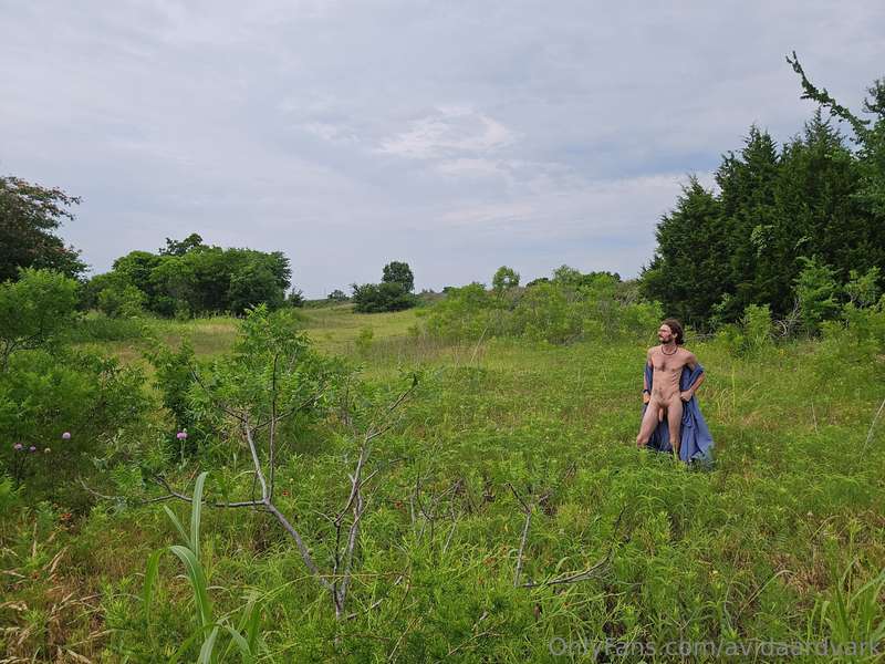 avidaardvark - This is one of my favorite fields. At times it is full of wi..