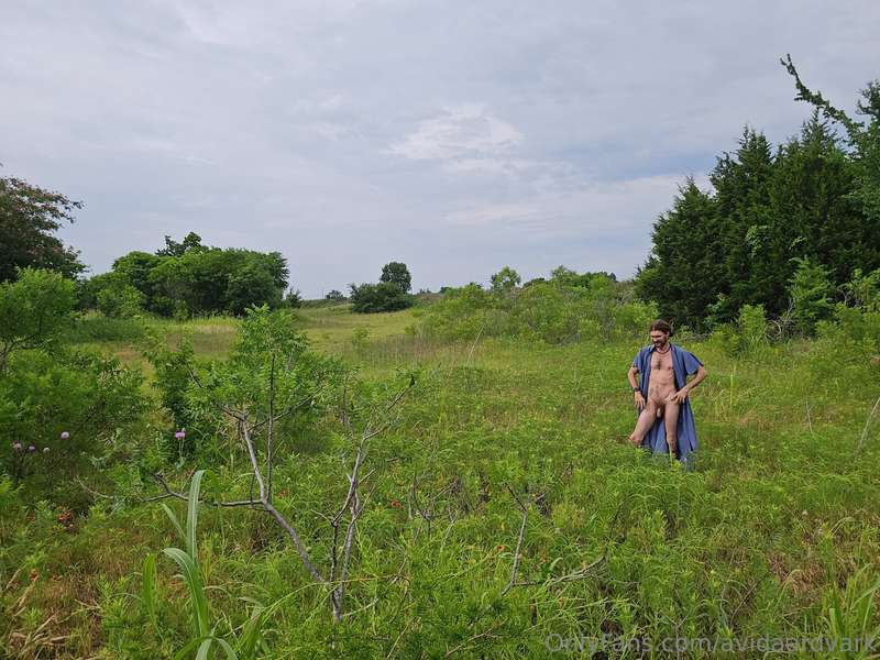 avidaardvark - This is one of my favorite fields. At times it is full of wi..