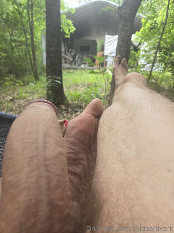 avidaardvark - Spent some time in the hammock yesterday while the clouds bl..