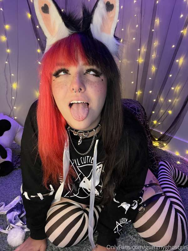 Breedable bunny 🐰🖤 1
