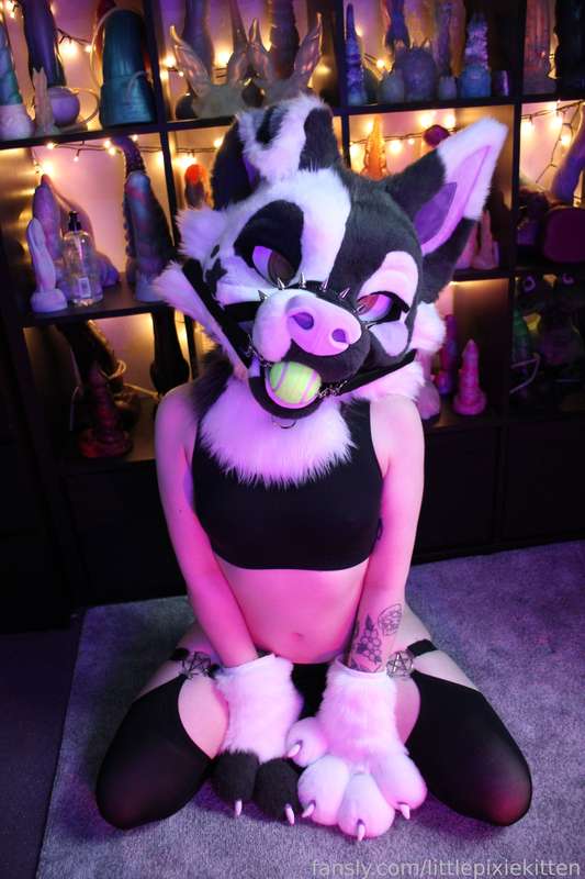Littlepixiekitten - Fansly - 25 Mar, 2024 18