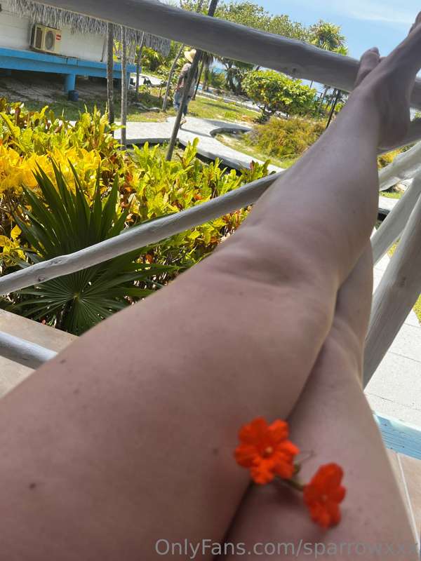 Started wearing a thong bikini around the resort and everyon.. 1