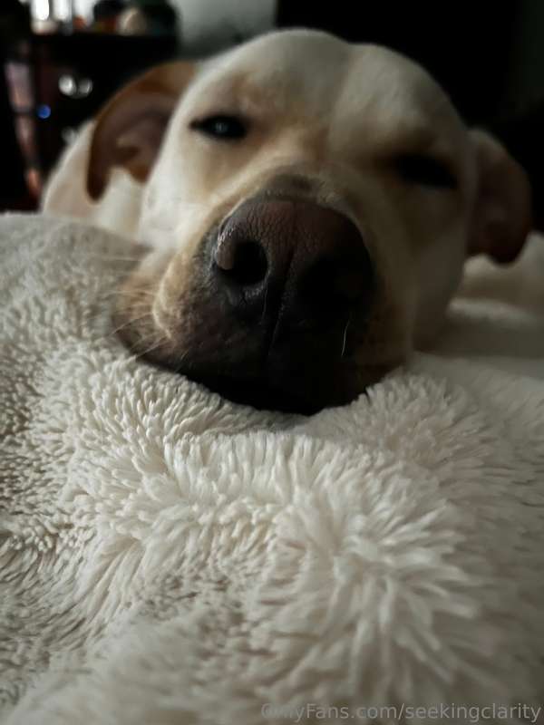 Good morning lovelies 💕 Ace says it’s too early to be up on ..