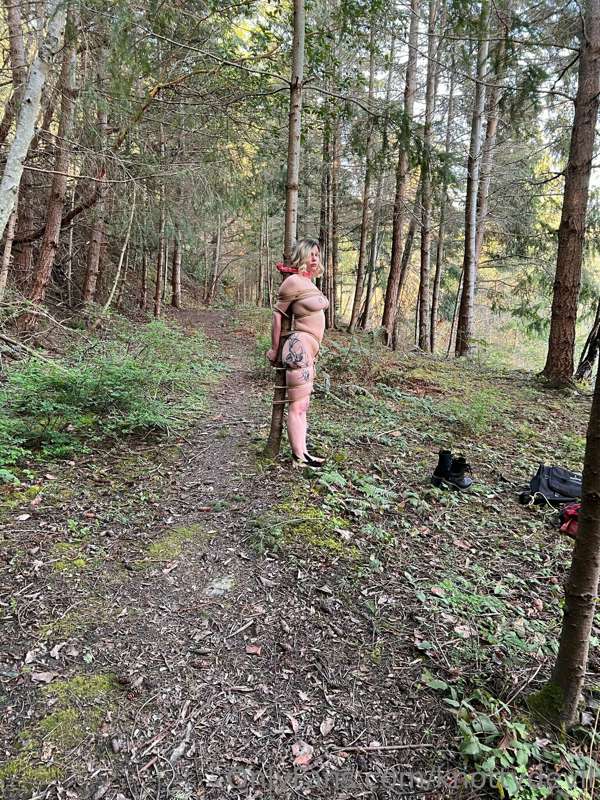 Here’s a few short clips of @adorgeous tied to a tree and wa..