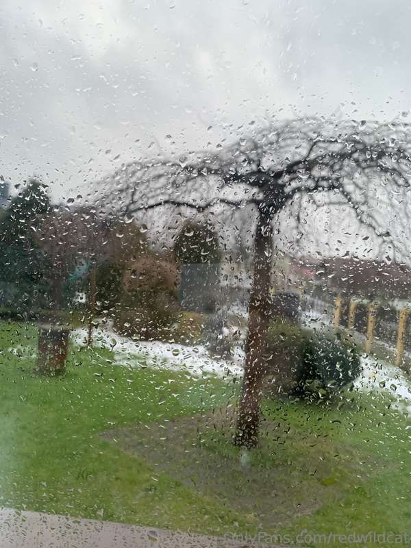 Why Did I Move Here? I Guess It Was The Weather