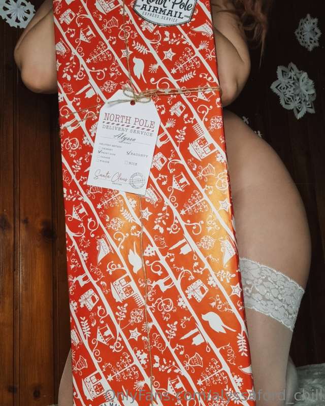 thanks Santa! I hope there are some panties and bras inside ..