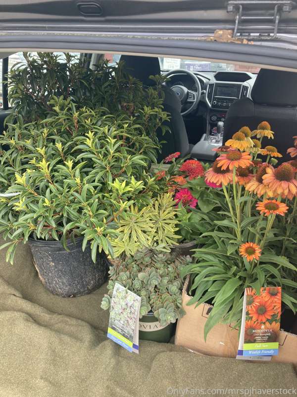 Garden center haul!!  I should be around & able to chat late..