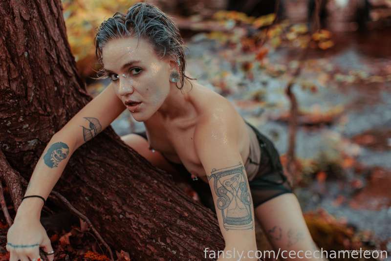 Cecechameleon - Fansly - 03 Oct, 2024 13