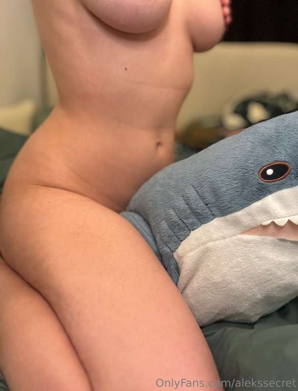 tamed the shark… but can you handle it? 😘🦈 