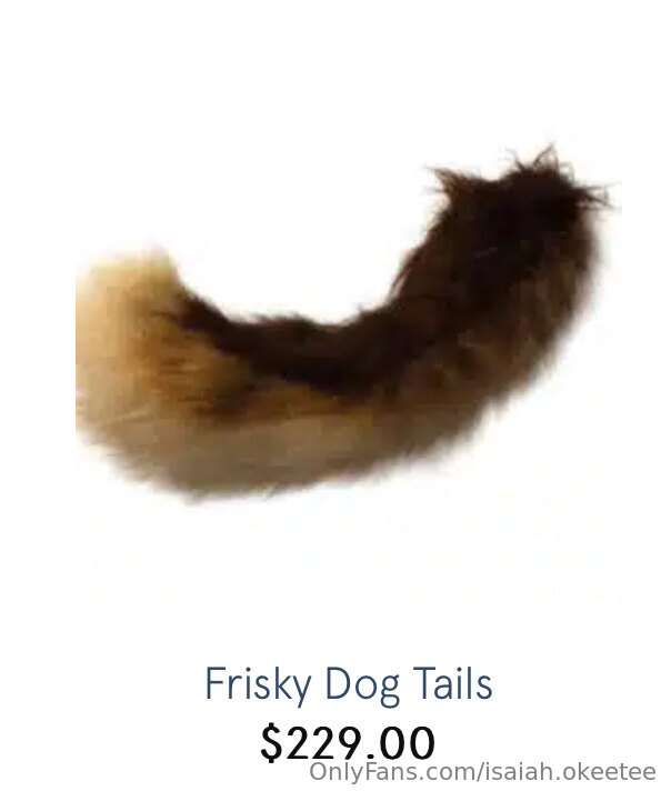 Ahhh I want that sweet floofy tail!  So I can shake and wigg..