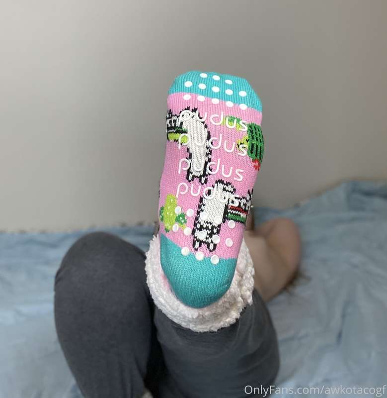 Aren’t my llama socks cute?? 🦙  If you’re interested in cust..