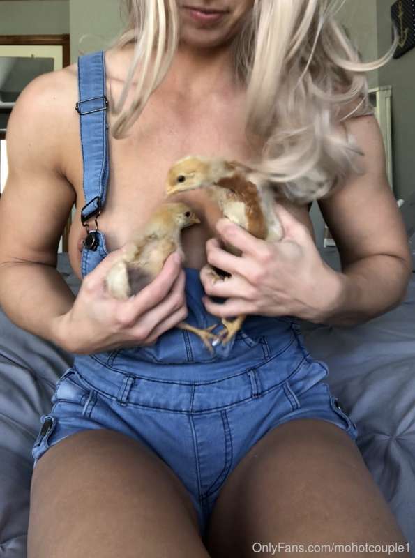 Taking pics with chicks is hard! 😂 I Thought the one was goi.. 6