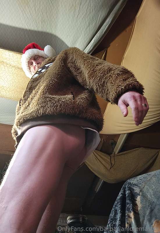 Hey, Santa Wookies wearing trekkie shirts need some ass-lovi.. 5