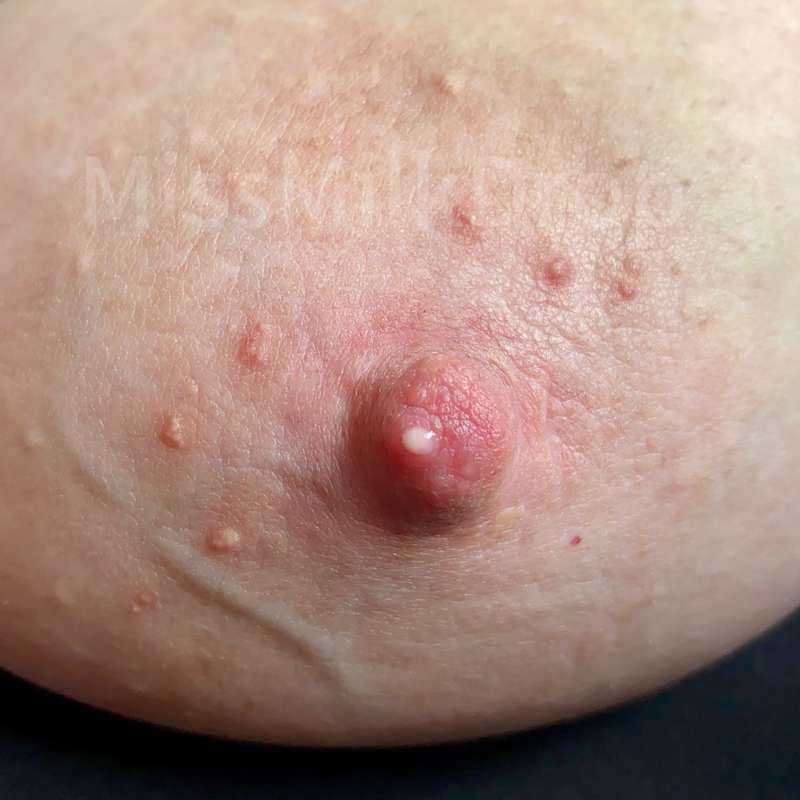 Missmilkdrop - Fansly - 02 Jun, 2024