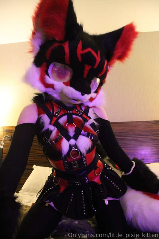 Koji pics in the hotel! ♥️🖤🤍 2