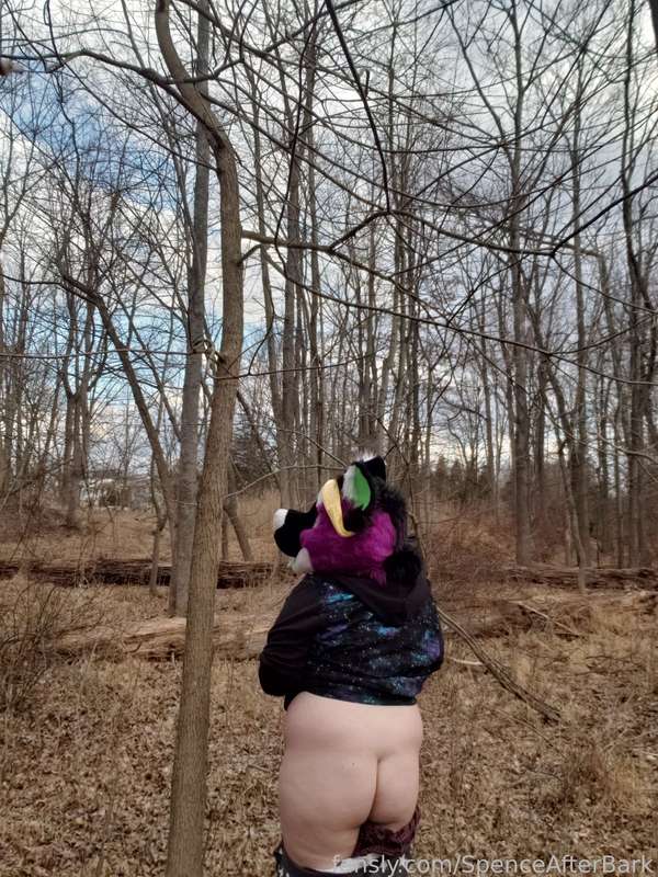 Spenceafterbark - Fansly - 02 Mar, 2023 7