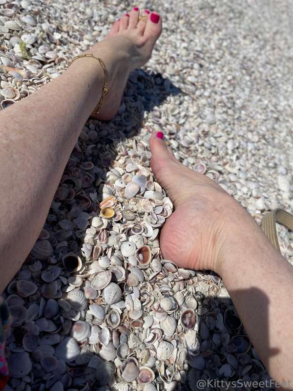 I love all these tiny little shells on the beach.  2