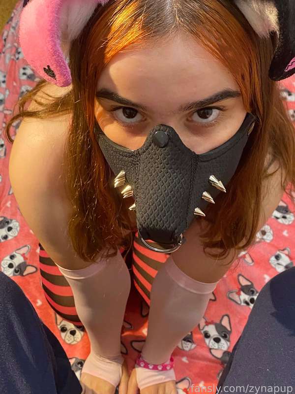 Zynapup - Fansly - 17 Sep, 2024
