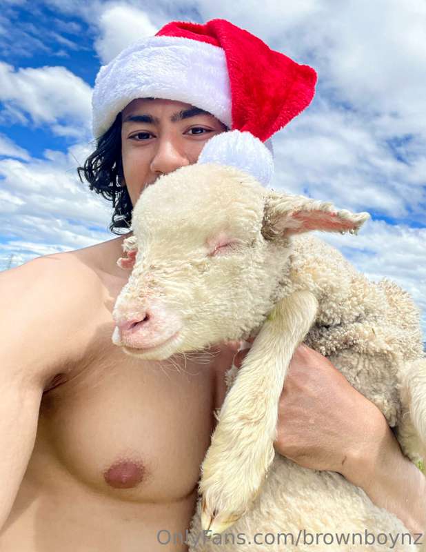 Santa dropped me Little Bambi 🐑
Say hi to Bambi 
New additio.. 2