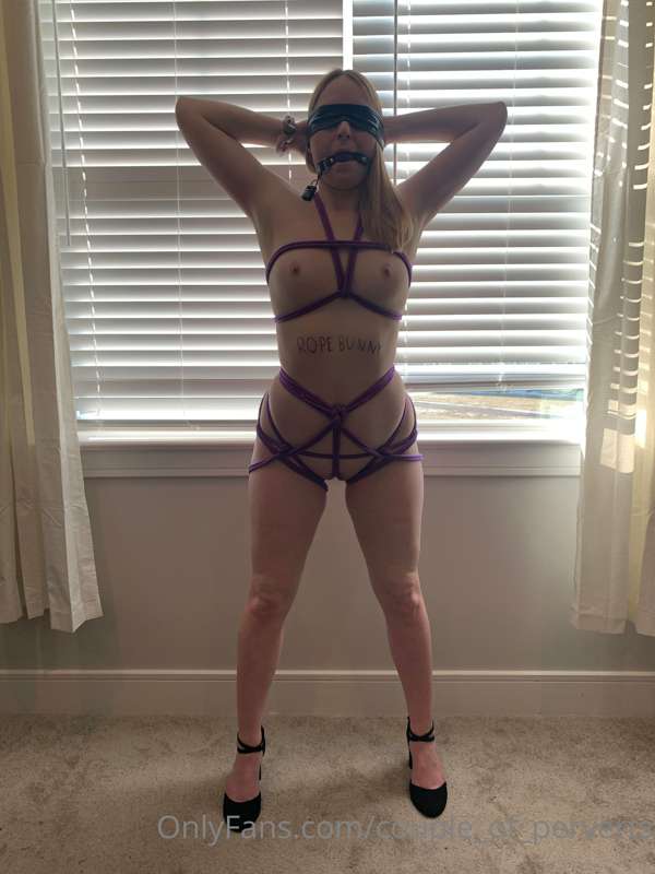Purple rope bunny (PPV #2) 1