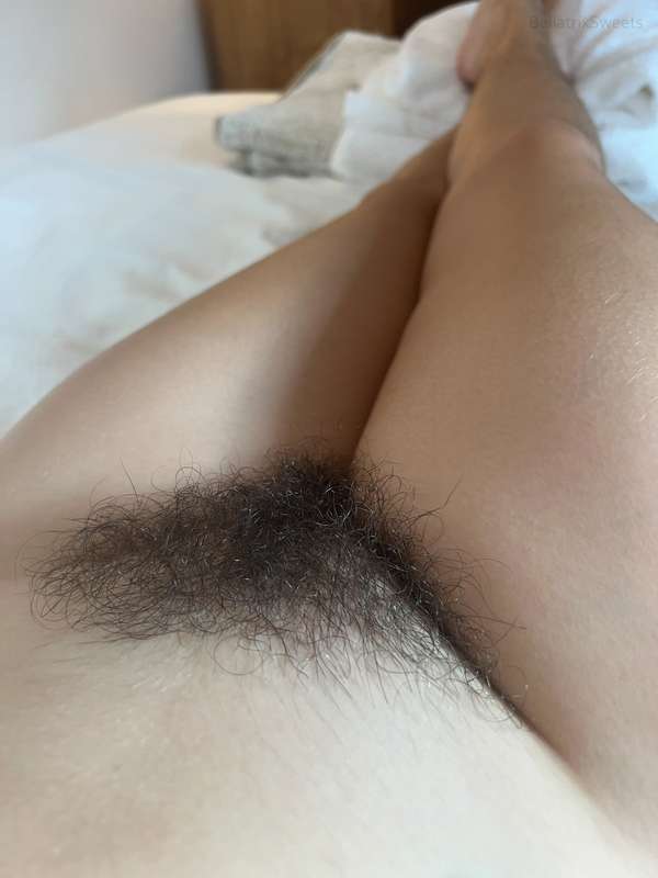 fluffy bush