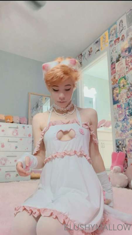 Another kitty girl post :3 what’s your favorite picture? I t.. 16
