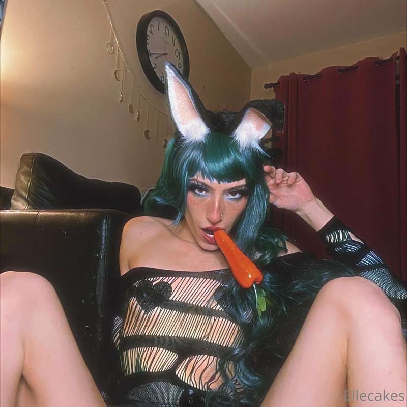 Who wants to be my roger rabbit ? 🥕

***Disclaimer!!! This i..