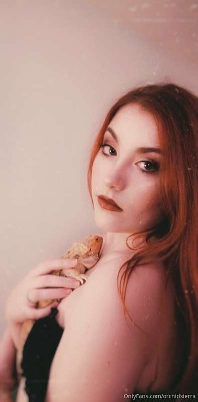 I did a new shoot tonight (minus the lizard) I'm excited to ..
