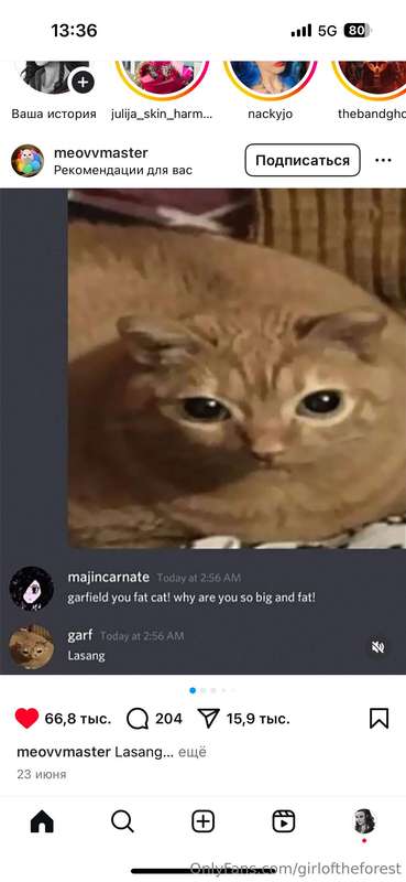Love memes  16