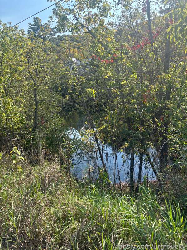 Duckyyowo - Fansly - 04 Oct, 2024 5