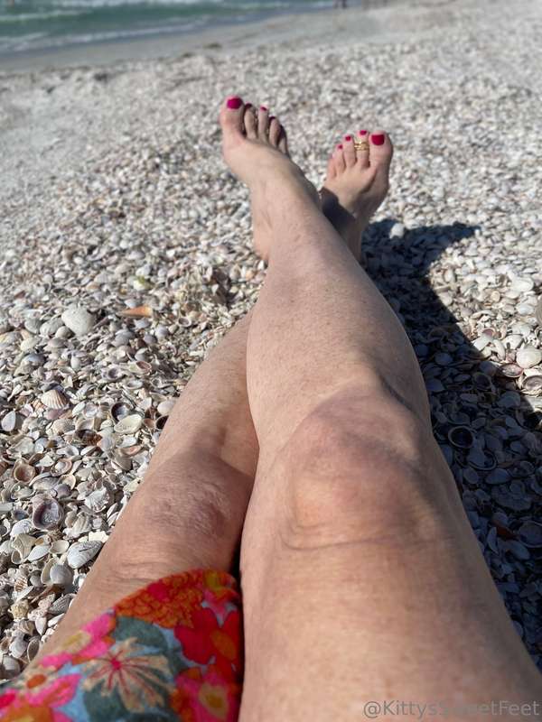 I love all these tiny little shells on the beach.  1