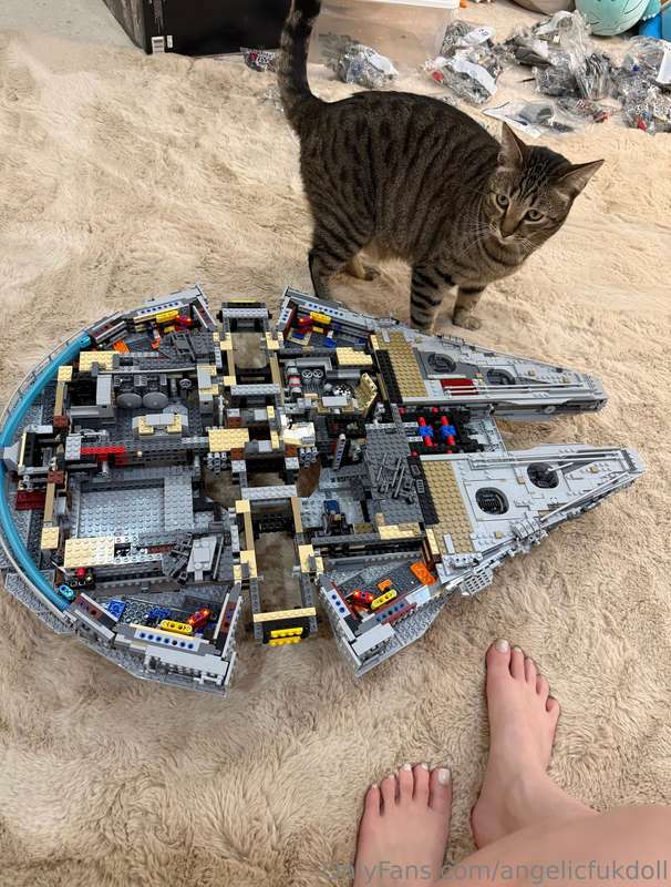 Brief interruption in nudes to show you a millennium falcon ..