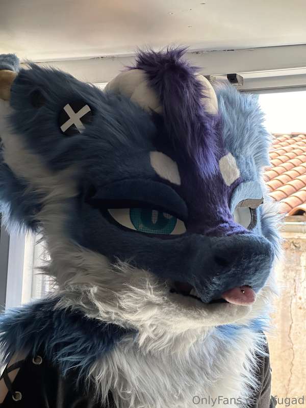 My first pictures with our new suits !  Say Welcome to Fugam.. 25