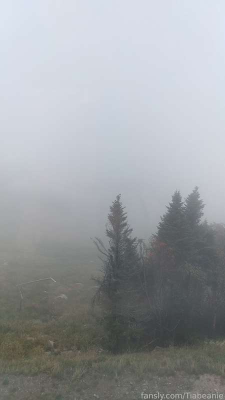 Tiabeanie - Fansly - 28 Sep, 2021