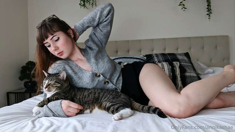 SFW kitty pics 🐱💘
