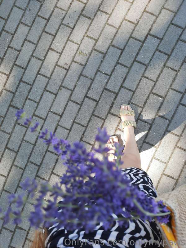 Lavender and feet.  🪻👣 1