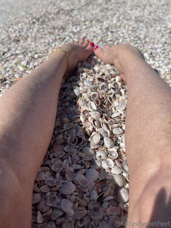I love all these tiny little shells on the beach.  12