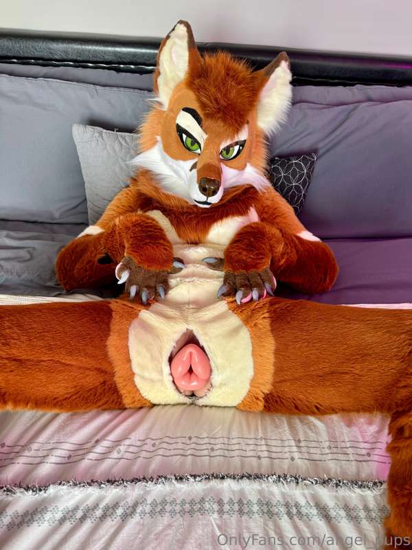 Reowrf! 🦊😘